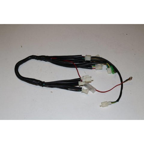 Blazer 110B Main Harness