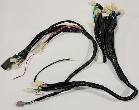 Blazer 200HS Wire Harness