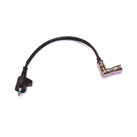 Mini-Blazer Ignition Coil