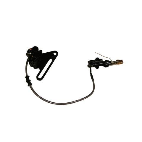 GX250 Rear Brake Assembly