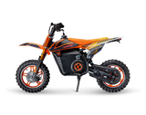 EBIKE X DIRT BIKE